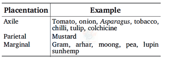 NEET 2012 Botany, Morphology of Flowering Plants — solution figure