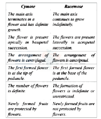 NEET 2013 Botany, Morphology of Flowering Plants — solution figure