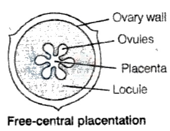 NEET 2016 Botany, Morphology of Flowering Plants — solution figure