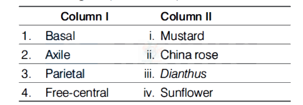 NEET 2019 Botany, Morphology of Flowering Plants — question figure