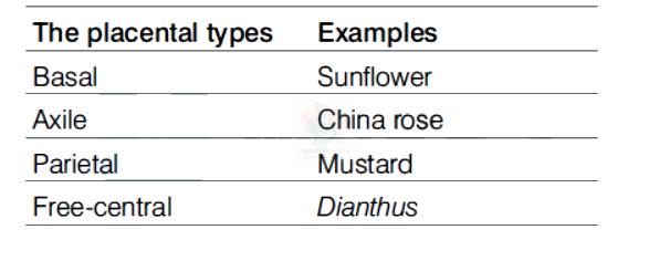 NEET 2019 Botany, Morphology of Flowering Plants — solution figure