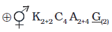 NEET 2021 Botany, Morphology of Flowering Plants — question figure 4