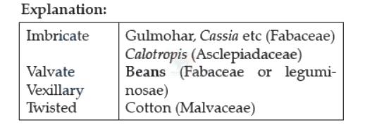 NEET 2022 Botany, Morphology of Flowering Plants — solution figure