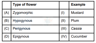 NEET 2023 Botany, Morphology of Flowering Plants — question figure