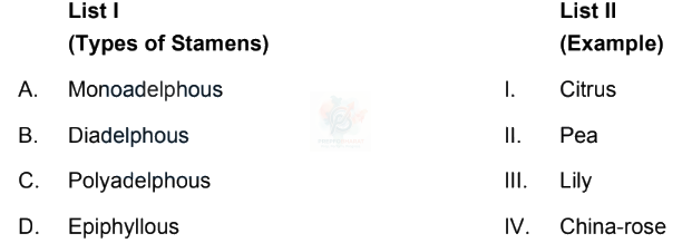 NEET 2024 Botany, Morphology of Flowering Plants — question figure