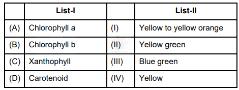 NEET 2023 Botany, Photosynthesis in Higher Plants — question figure