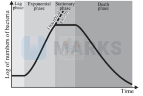 NEET 2004 Botany, Plant - Growth and Development — solution figure