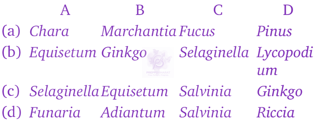 NEET 2010 Botany, Plant Kingdom — question figure 5