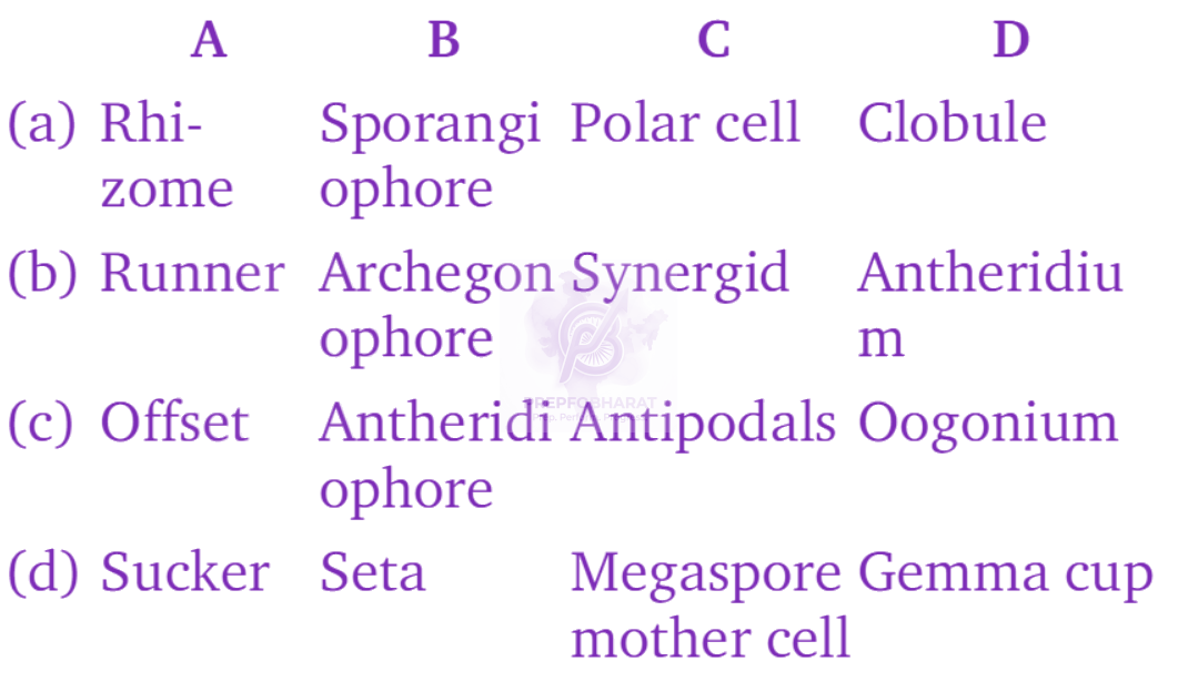 NEET 2010 Botany, Plant Kingdom — question figure 2