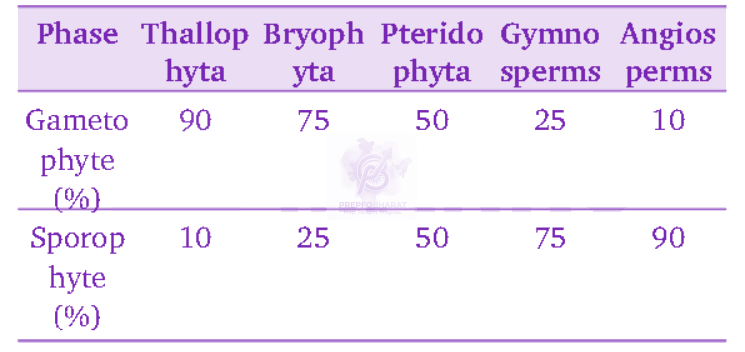 NEET 2011 Botany, Plant Kingdom — solution figure