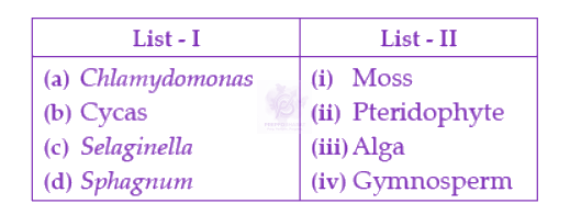 NEET 2022 Botany, Plant Kingdom — question figure