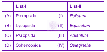 NEET 2023 Botany, Plant Kingdom — question figure