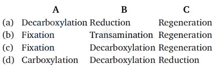 NEET 2010 Botany, Respiration in Plants — question figure 2