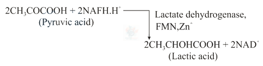 NEET 2014 Botany, Respiration in Plants — solution figure