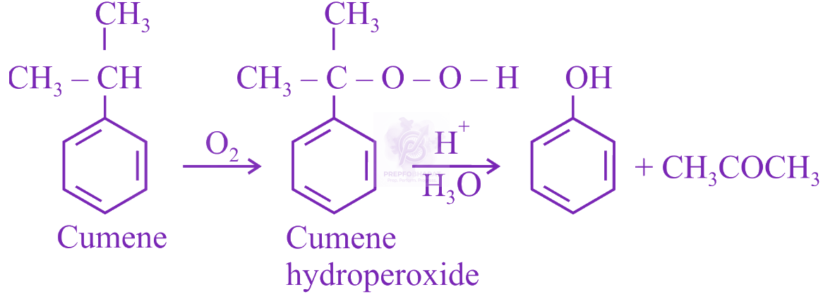 NEET 2019 Chemistry, Alcohols Phenols and Ethers — solution figure