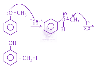 NEET 2020 Chemistry, Alcohols Phenols and Ethers — solution figure