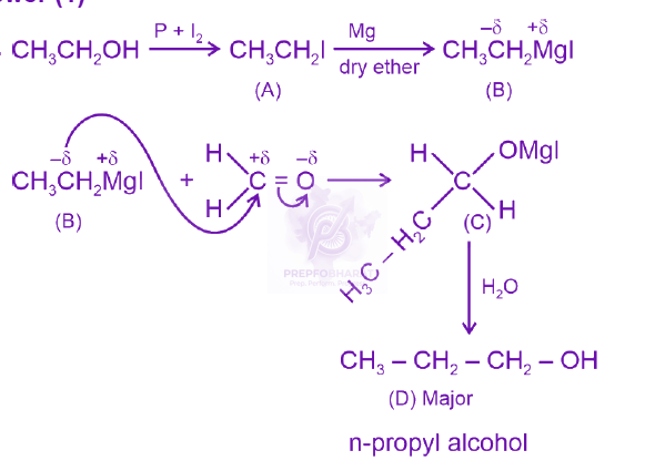 NEET 2024 Chemistry, Alcohols Phenols and Ethers — solution figure