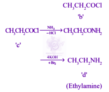 NEET 2006 Chemistry, Amines — solution figure 2