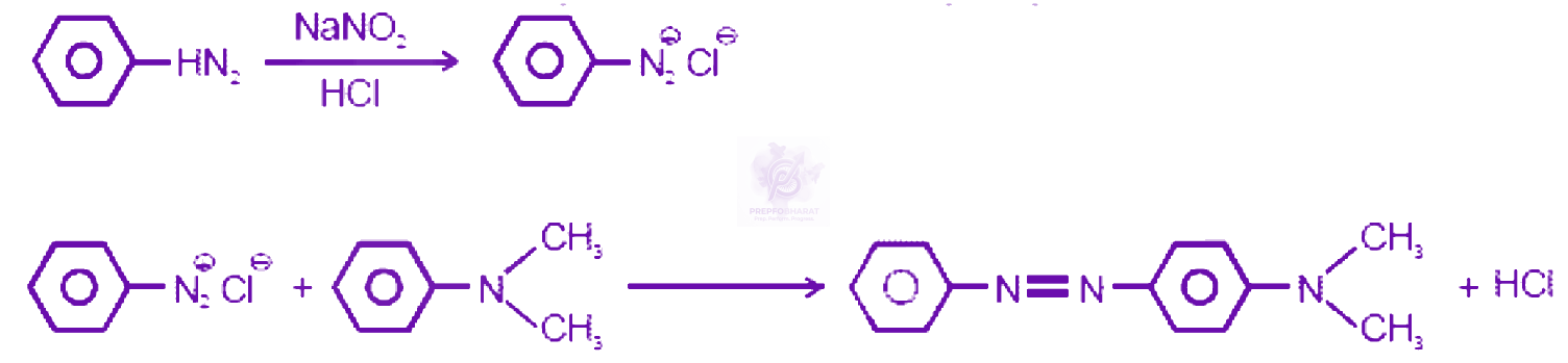 NEET 2008 Chemistry, Amines — solution figure