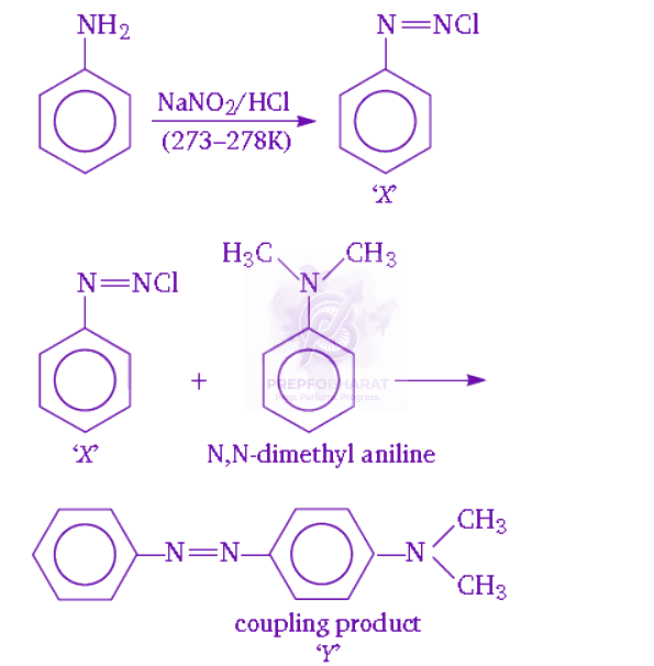 NEET 2010 Chemistry, Amines — solution figure