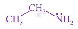 NEET 2021 Chemistry, Amines — option C figure