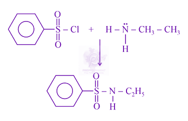 NEET 2021 Chemistry, Amines — solution figure