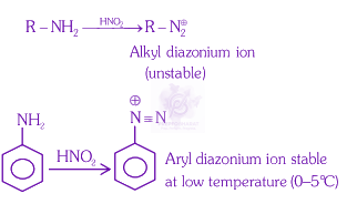 NEET 2022 Chemistry, Amines — solution figure
