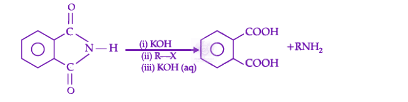 NEET 2022 Chemistry, Amines — solution figure 1