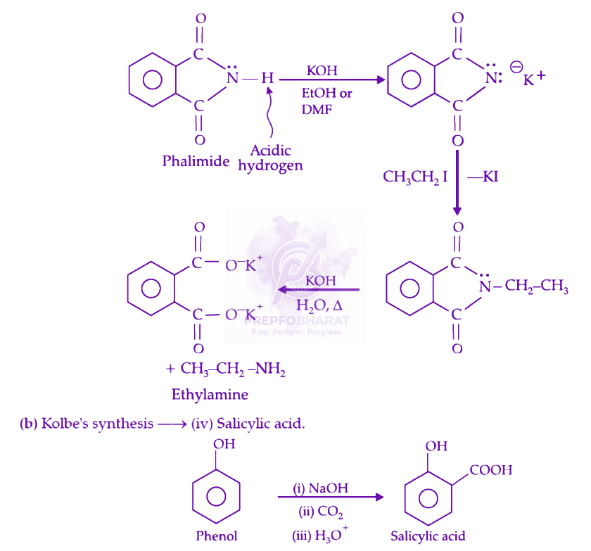 NEET 2022 Chemistry, Amines — solution figure 2