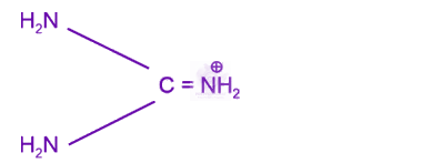 NEET 2023 Chemistry, Amines — option B figure
