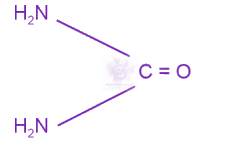 NEET 2023 Chemistry, Amines — option C figure