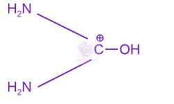 NEET 2023 Chemistry, Amines — option D figure