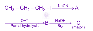NEET 2024 Chemistry, Amines — question figure