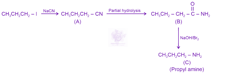 NEET 2024 Chemistry, Amines — solution figure