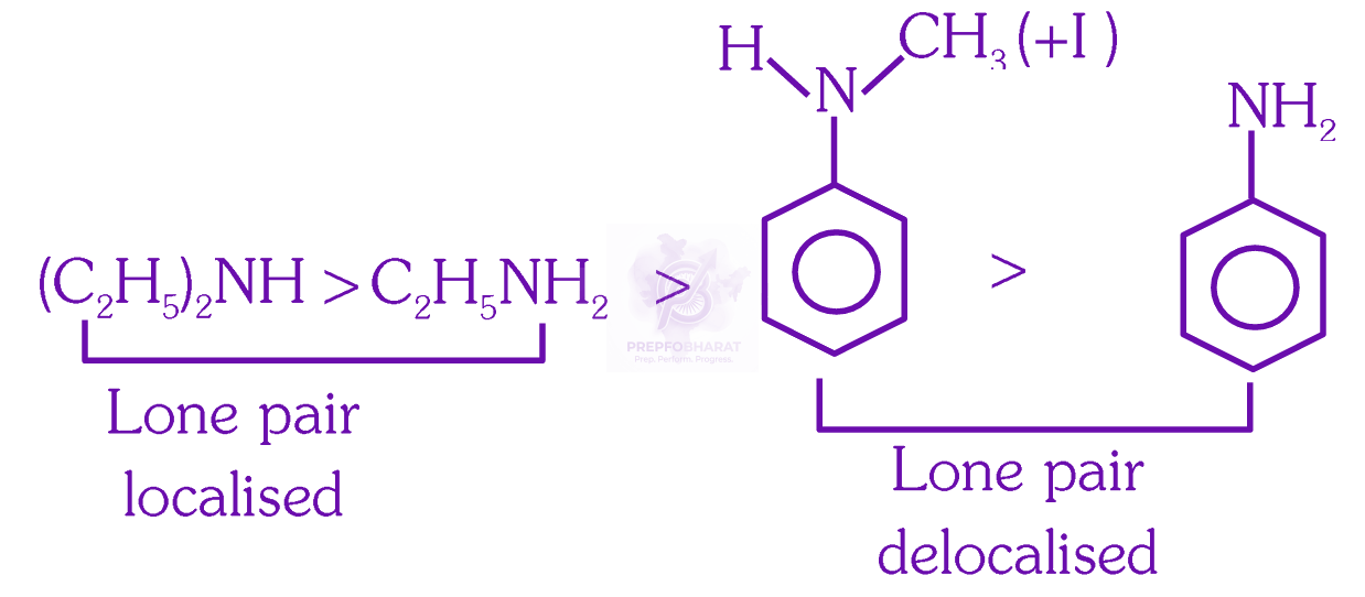 NEET 2025 Chemistry, Amines — solution figure