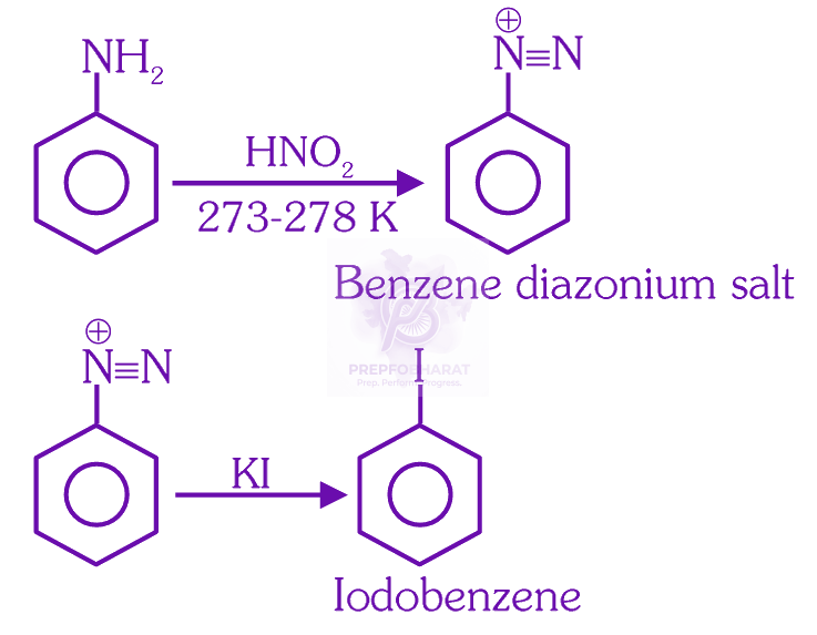 NEET 2025 Chemistry, Amines — solution figure