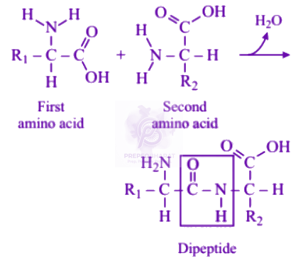 NEET 2004 Chemistry, Biomolecules — solution figure
