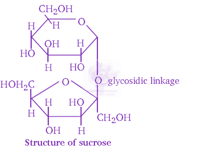 NEET 2012 Chemistry, Biomolecules — solution figure