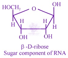NEET 2016 Chemistry, Biomolecules — solution figure 1