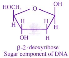 NEET 2016 Chemistry, Biomolecules — solution figure 2