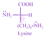 NEET 2020 Chemistry, Biomolecules — solution figure