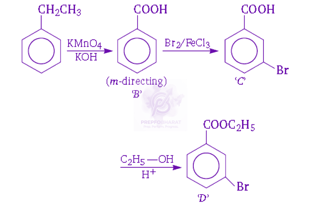 NEET 2010 Chemistry, Carboxylic Acid Derivatives — solution figure