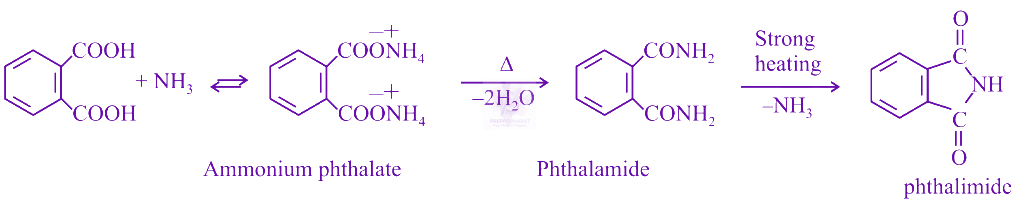 NEET 2019 Chemistry, Carboxylic Acid Derivatives — solution figure