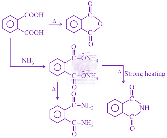 NEET 2020 Chemistry, Carboxylic Acid Derivatives — solution figure