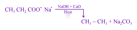 NEET 2021 Chemistry, Carboxylic Acid Derivatives — solution figure