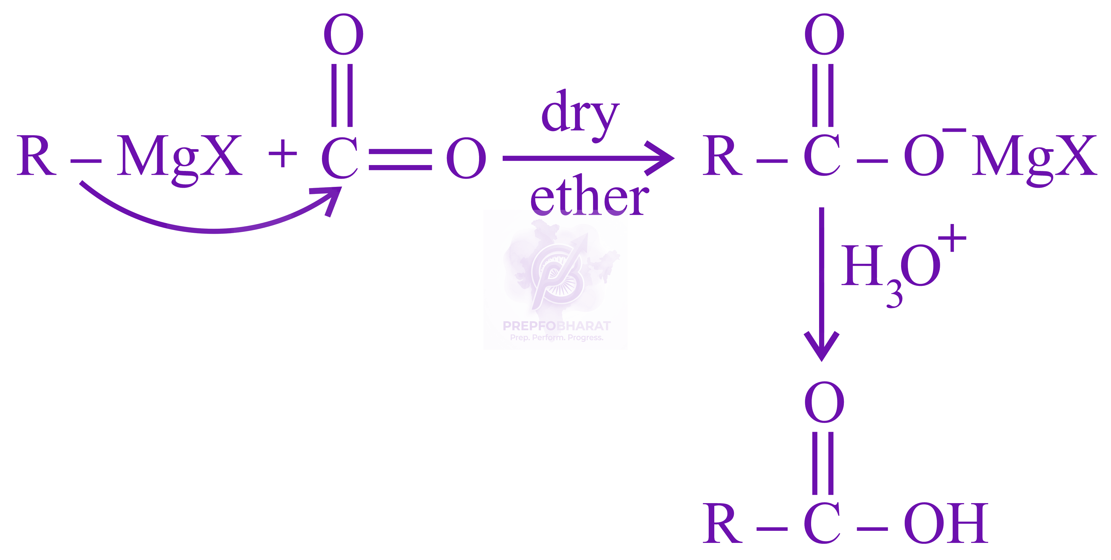 NEET 2022 Chemistry, Carboxylic Acid Derivatives — solution figure