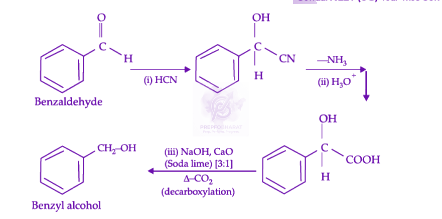 NEET 2022 Chemistry, Carboxylic Acid Derivatives — solution figure