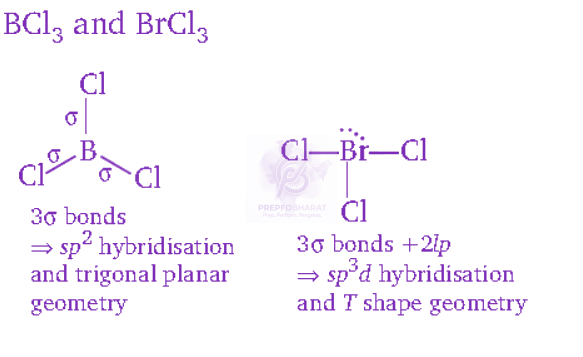 NEET 2012 Chemistry, Chemical Bonding and Molecular Structure — solution figure 1