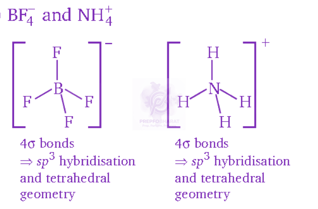 NEET 2012 Chemistry, Chemical Bonding and Molecular Structure — solution figure 4