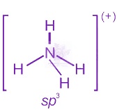 NEET 2016 Chemistry, Chemical Bonding and Molecular Structure — solution figure 2